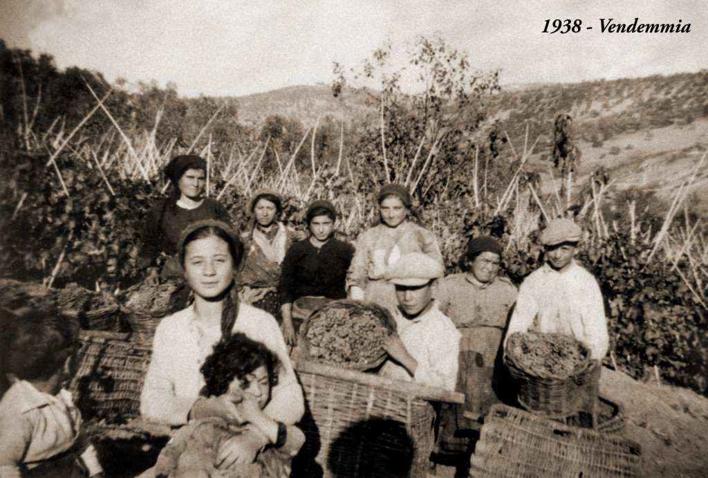 71 FOTO 1938 Vendemmia